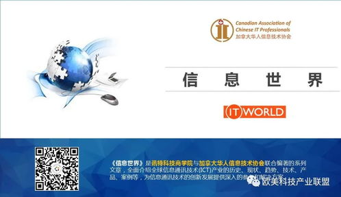 C语言与MySQL 构建高效的管理系统与信息系统世界浅析