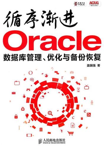 循序渐进oracle 数据库管理,优化与备份恢复 盖国强 著 人民邮电出版